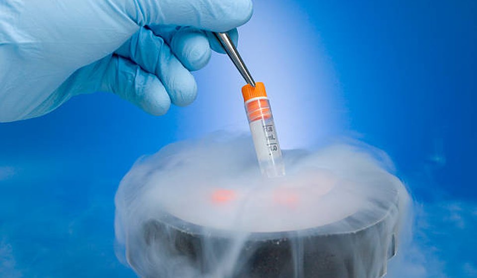 Cryopreservation at MOMZY Women and Fertility Centre