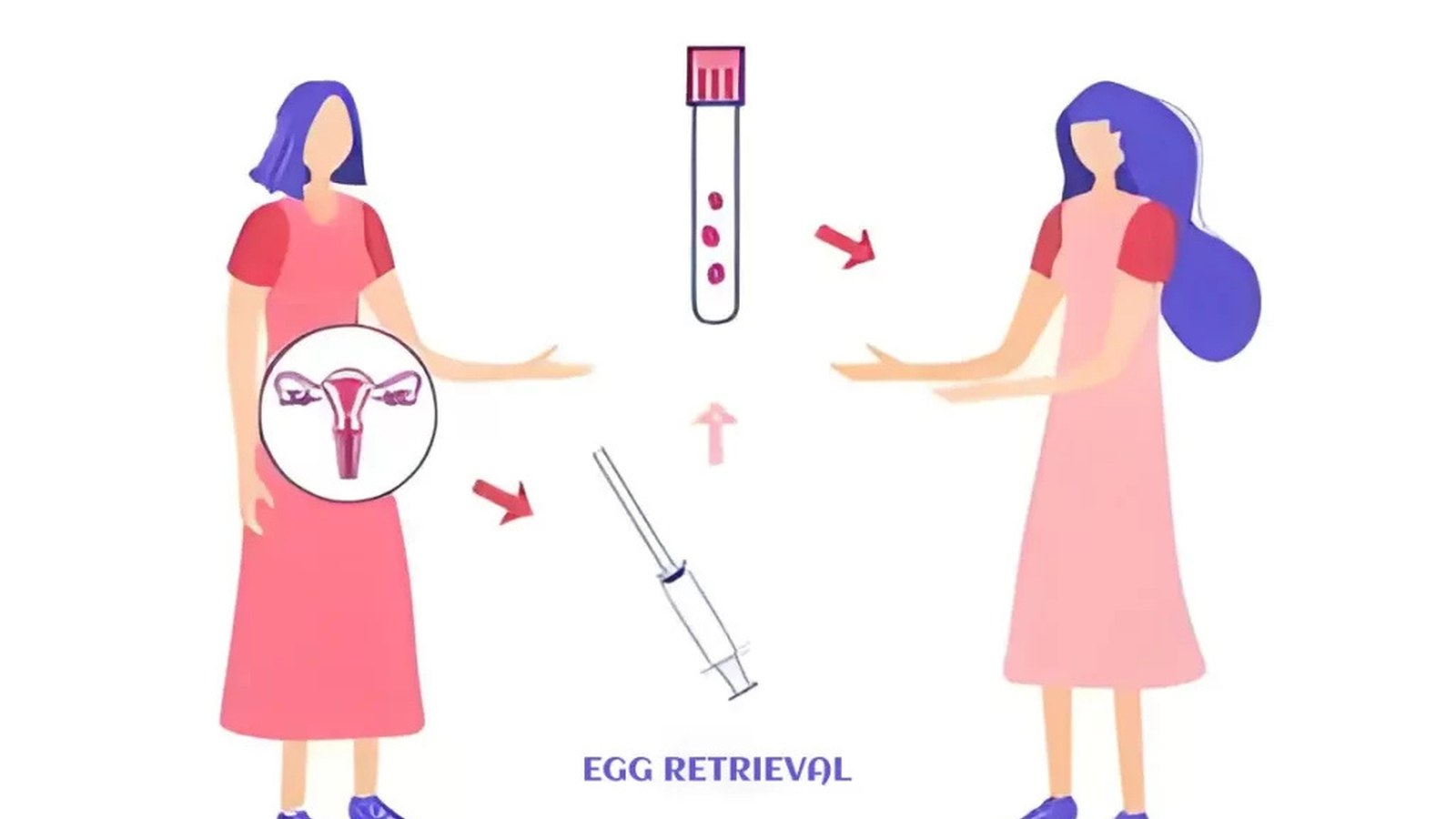 Donor Egg Programme image