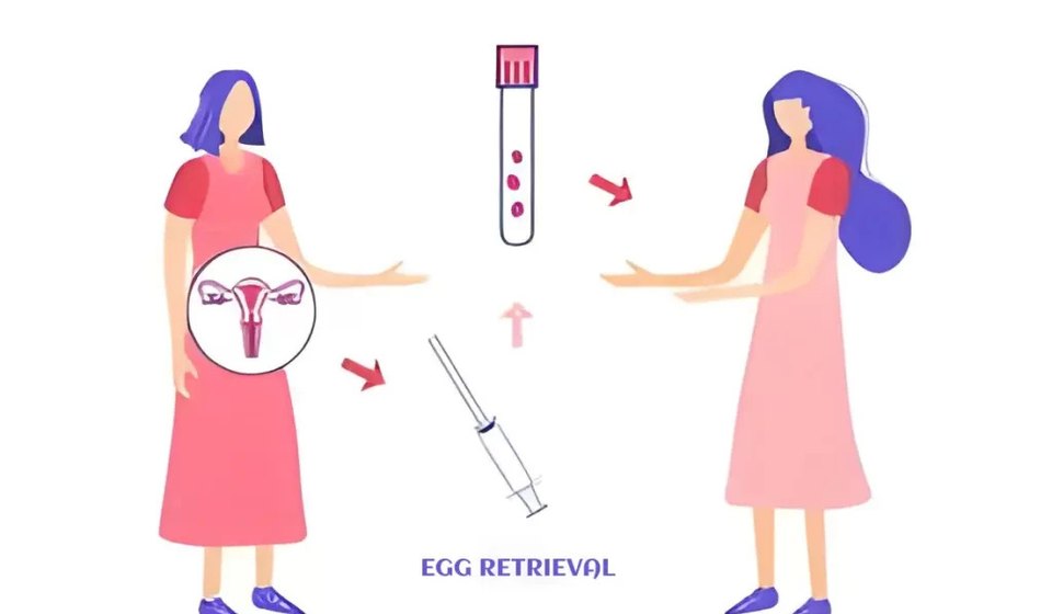 Donor Egg Programme at MOMZY Women and Fertility Centre