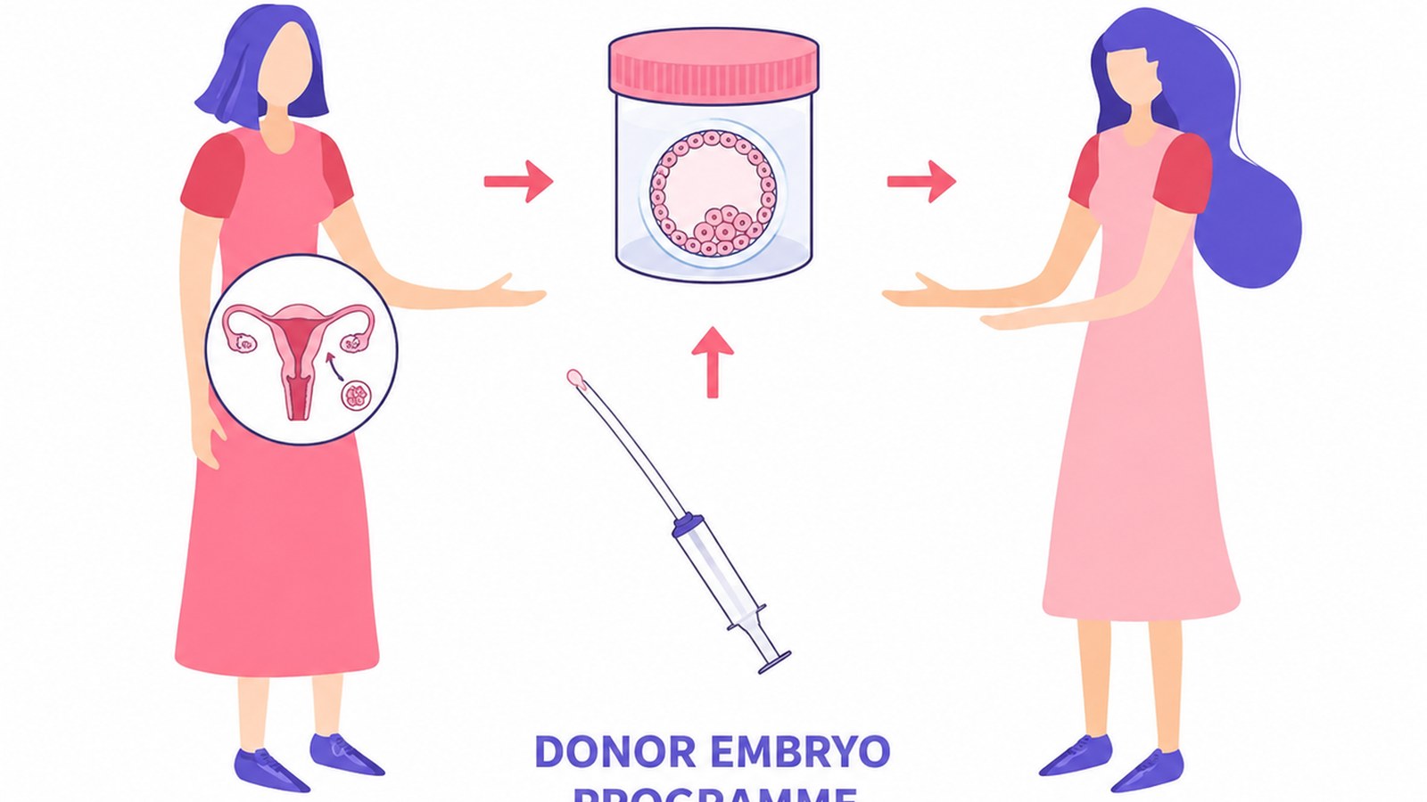 Donor Embryo Programme image