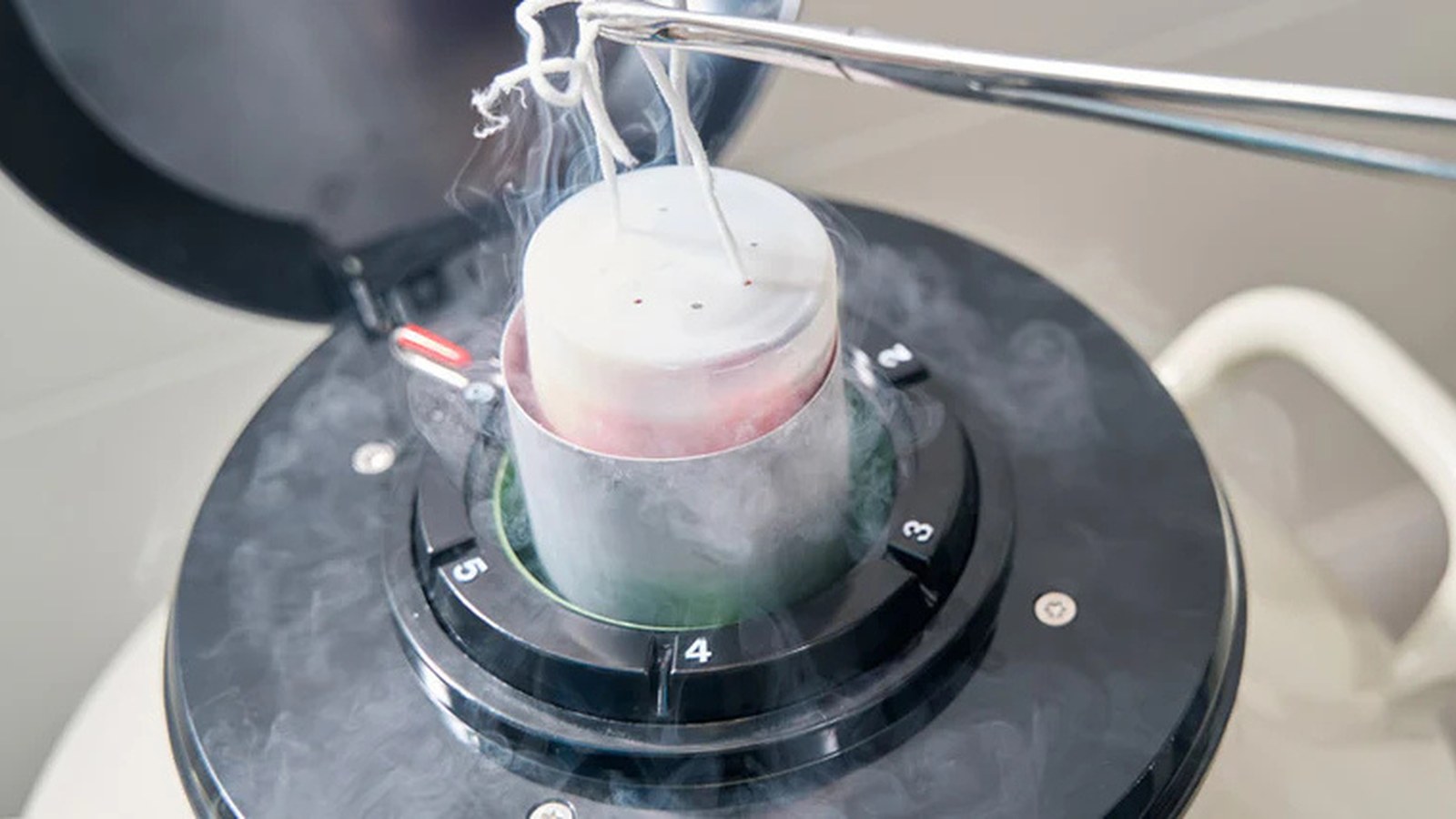 Egg Freezing image