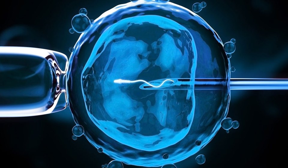 IVF Treatment at MOMZY Women and Fertility Centre