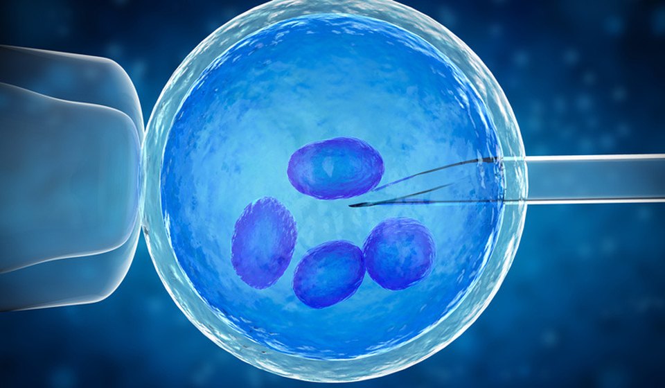 Laser Assisted Hatching at MOMZY Women and Fertility Centre