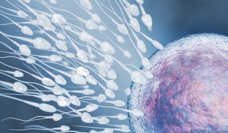 Ovulation Induction at MOMZY Women and Fertility Centre